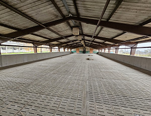 Rekonstrukce haly výkrmu prasat